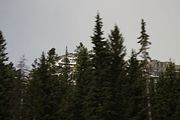 04 - Bow Lake  - IMG_0861
